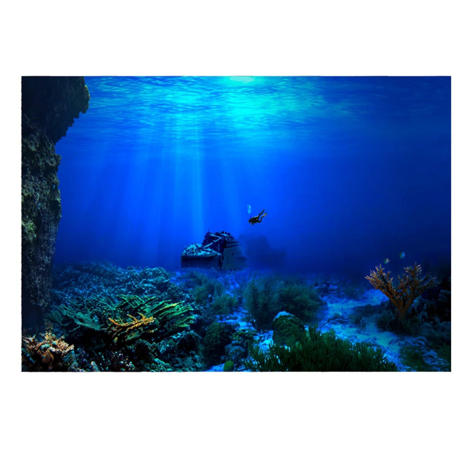 Aquarium Fish World - Rainforest Aquarium Background Poster Fish Tank