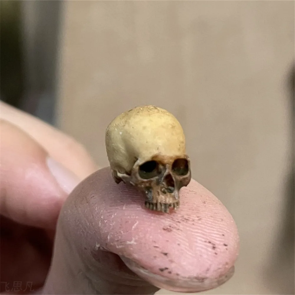 Aquarium Fish Buy - Mini Skull High Quality Miniature Model