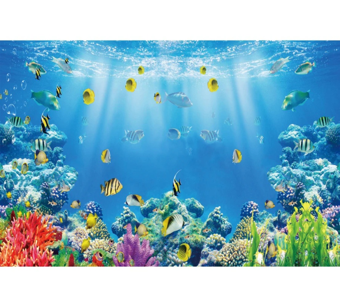 Underwater World Fish Coral Aq - Aquarium Fish World ulasan dan harga