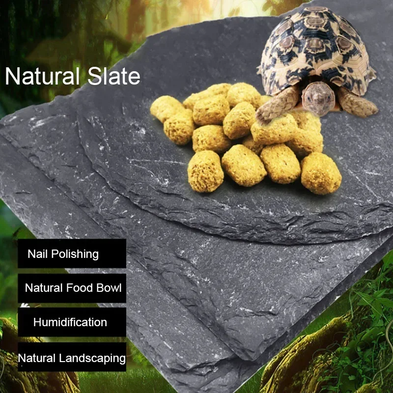 Natural Slate Aquarium Pet Rep - Aquarium Fish Food ulasan dan harga
