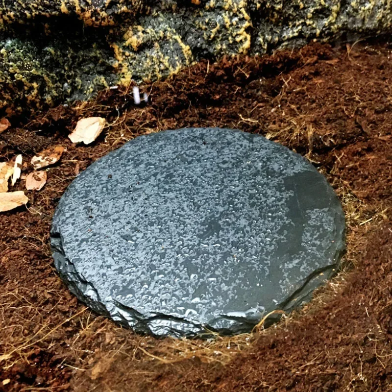 Natural Slate Aquarium Pet Rep - Aquarium Fish Food ulasan dan harga