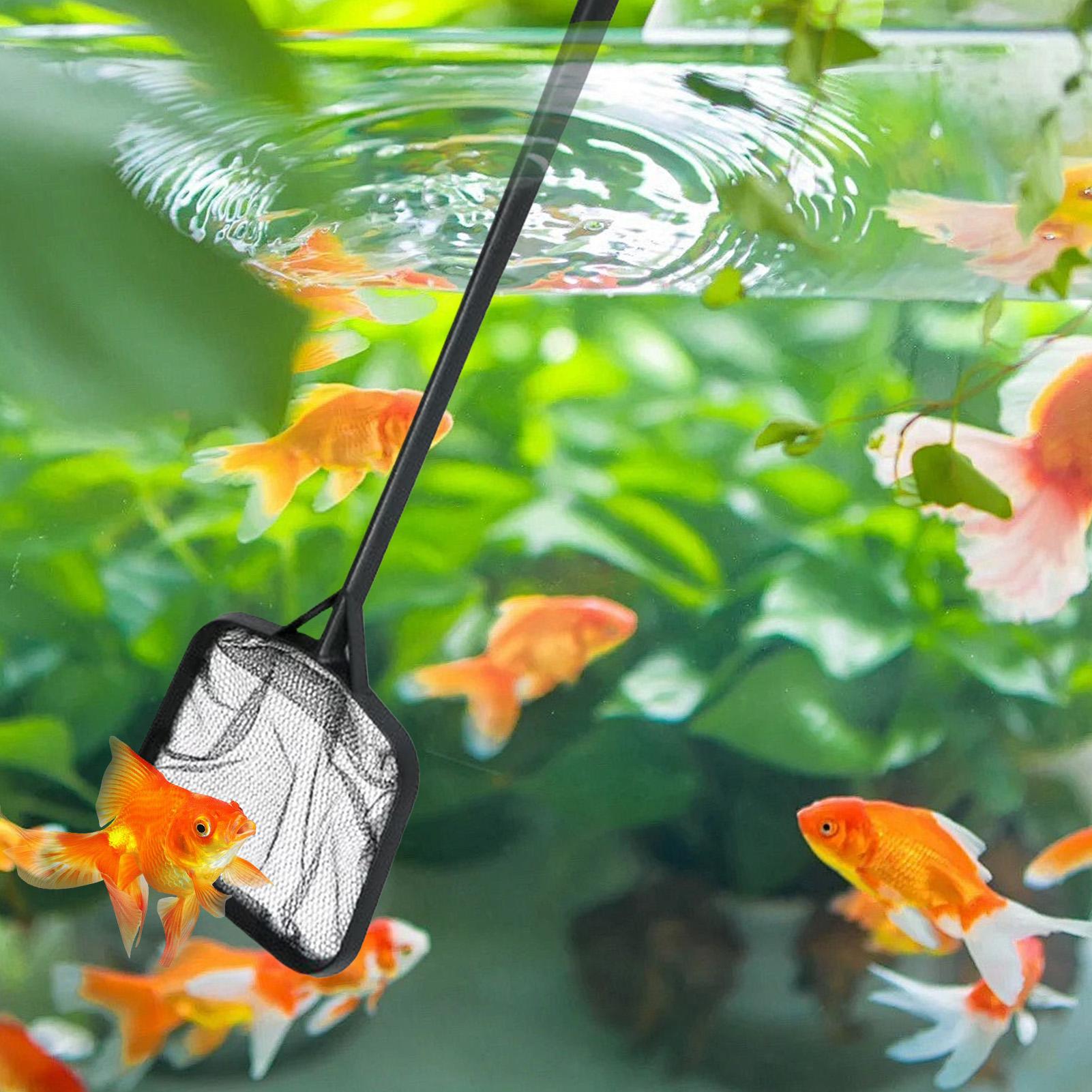 Pool Nets for Cleaning Portabl - Aquarium Fish Buy ulasan dan harga