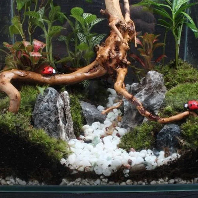 Natural Tree Trunk Driftwood A - Aquarium Fish Games ulasan dan harga