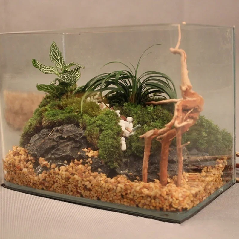 Natural Tree Trunk Driftwood A - Aquarium Fish Games ulasan dan harga