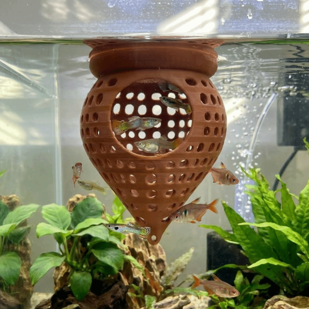 3D Printed Floating Fish Hammo - Aquarium Fish Food ulasan dan harga