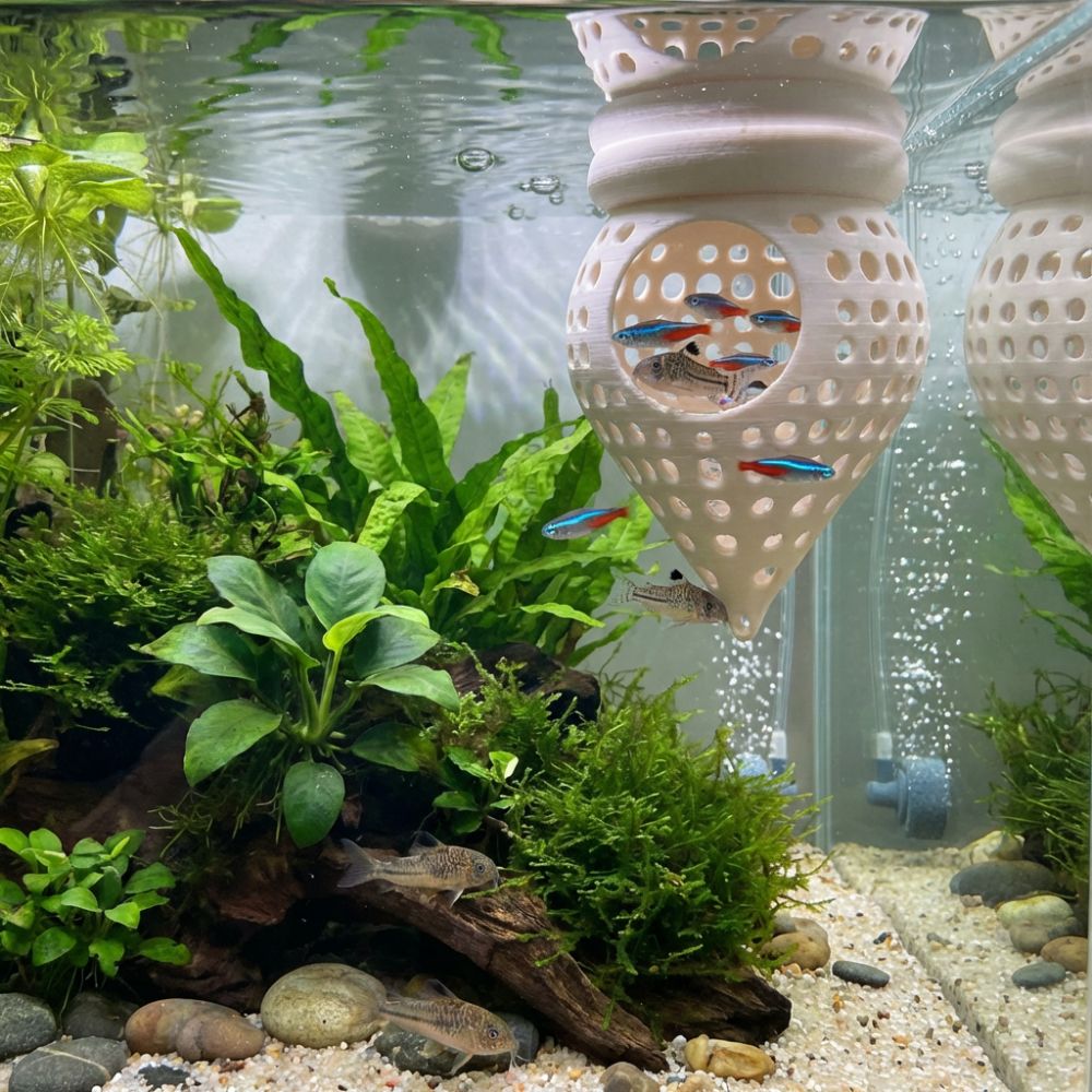 3D Printed Floating Fish Hammo - Aquarium Fish Food ulasan dan harga