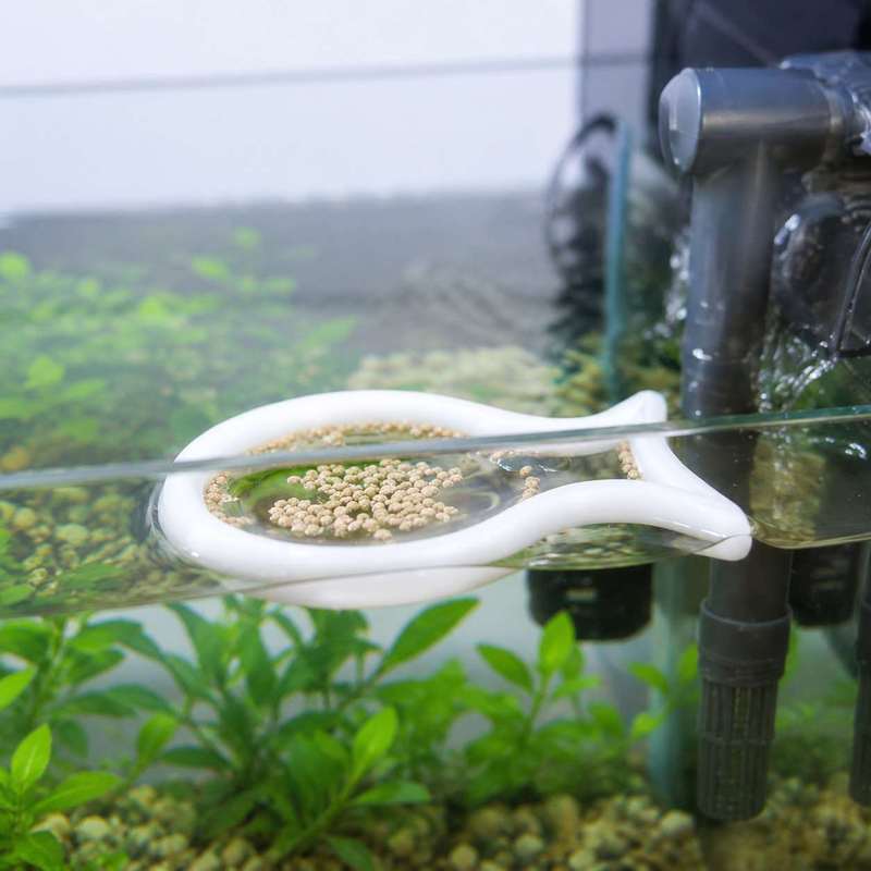Fish Shaped Floating Feeding R - Aquarium Fish Food ulasan dan harga