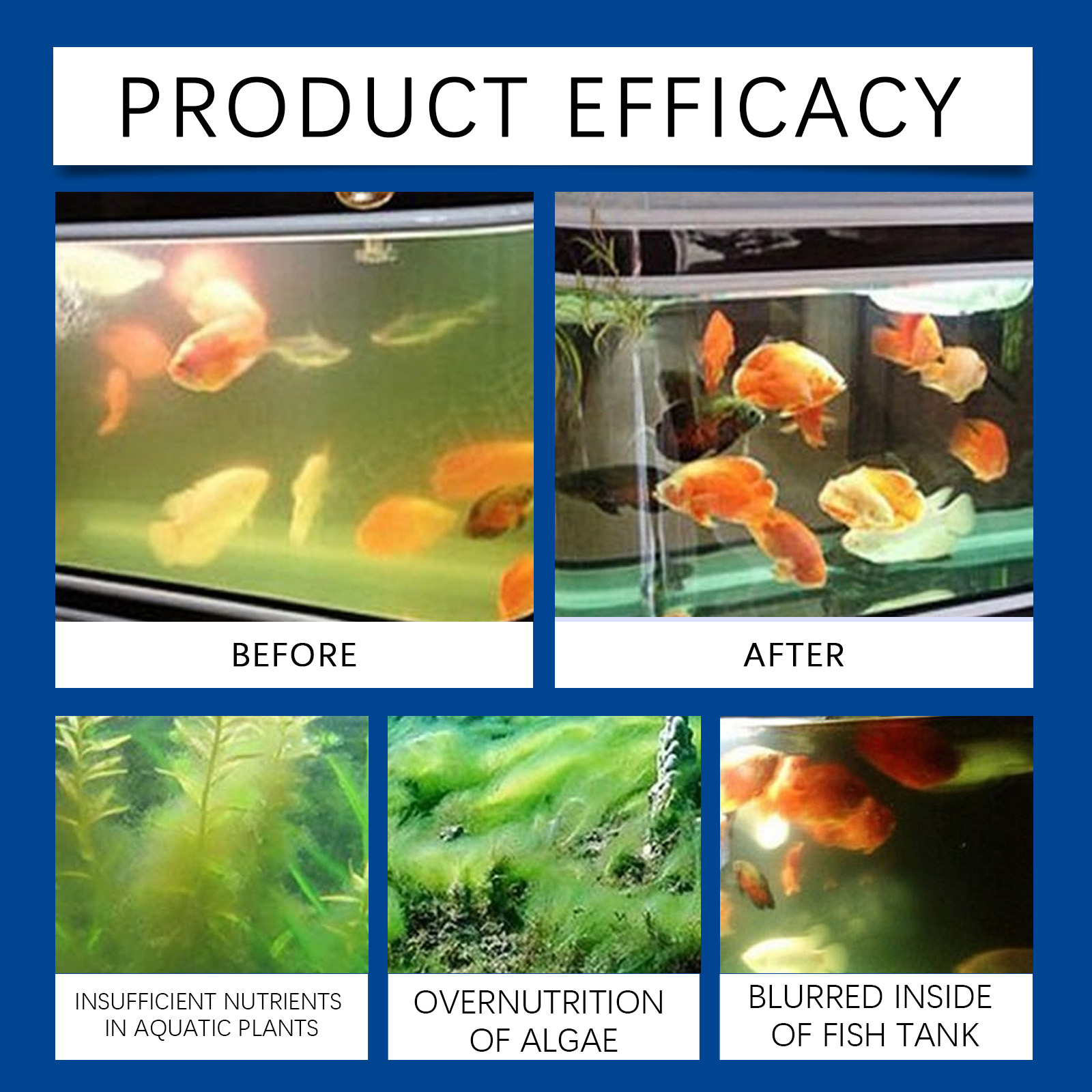 Aquarium Water Clarifier 100ml - Cleaner Fish Aquarium ulasan dan harga