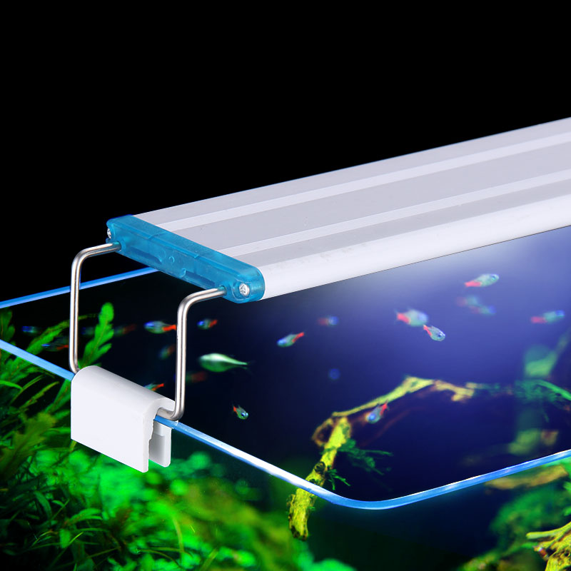 Extensible Waterproof Clip on  - Aquarium Fish Buy ulasan dan harga