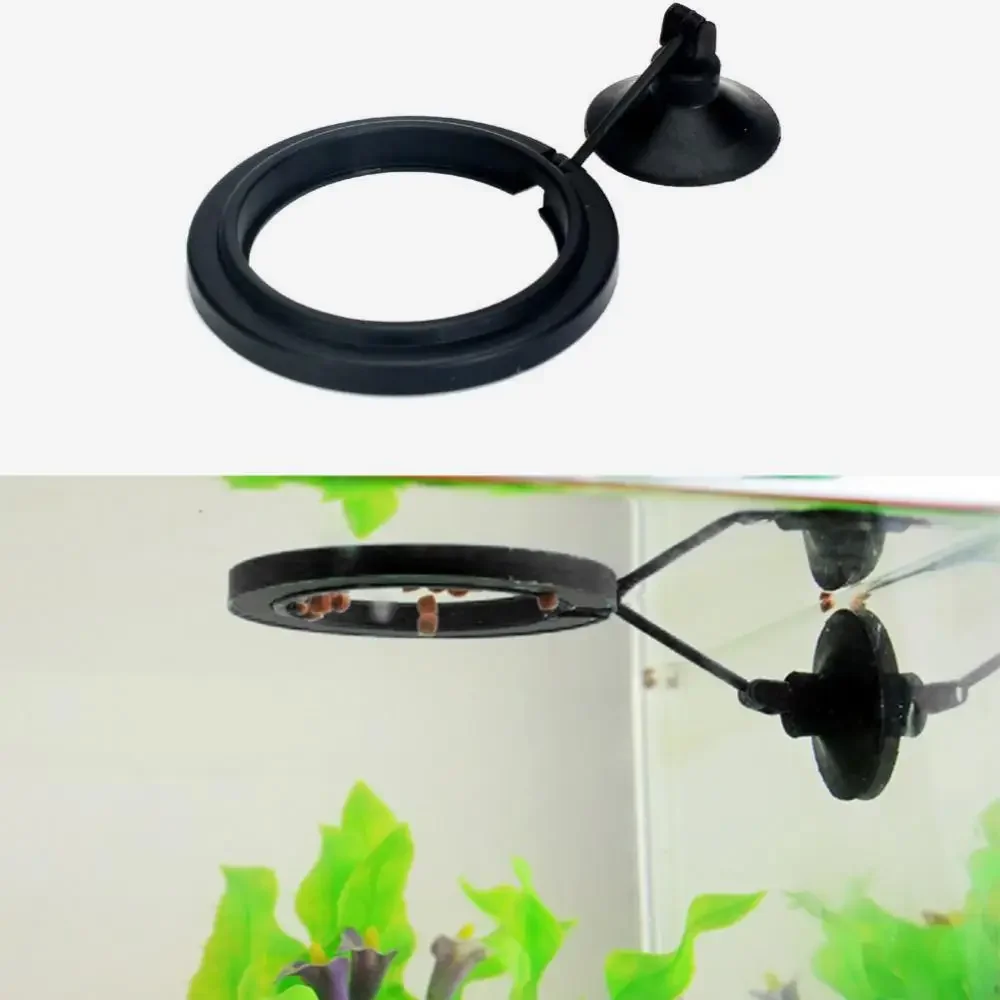 Feed Suction Cup Aquarium Feed - Aquarium Fish Food ulasan dan harga