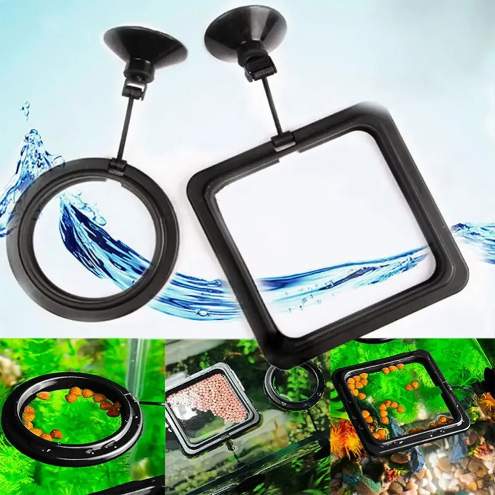 Feed Suction Cup Aquarium Feed - Aquarium Fish Food ulasan dan harga