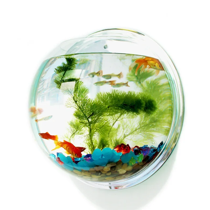 Pinsjar Acrylic Fish Bowl Wall - Aquarium Fish Background ulasan dan harga