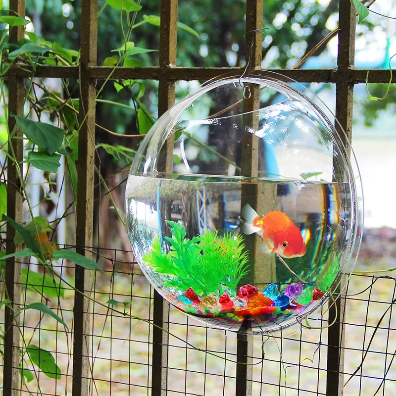Pinsjar Acrylic Fish Bowl Wall - Aquarium Fish Background ulasan dan harga