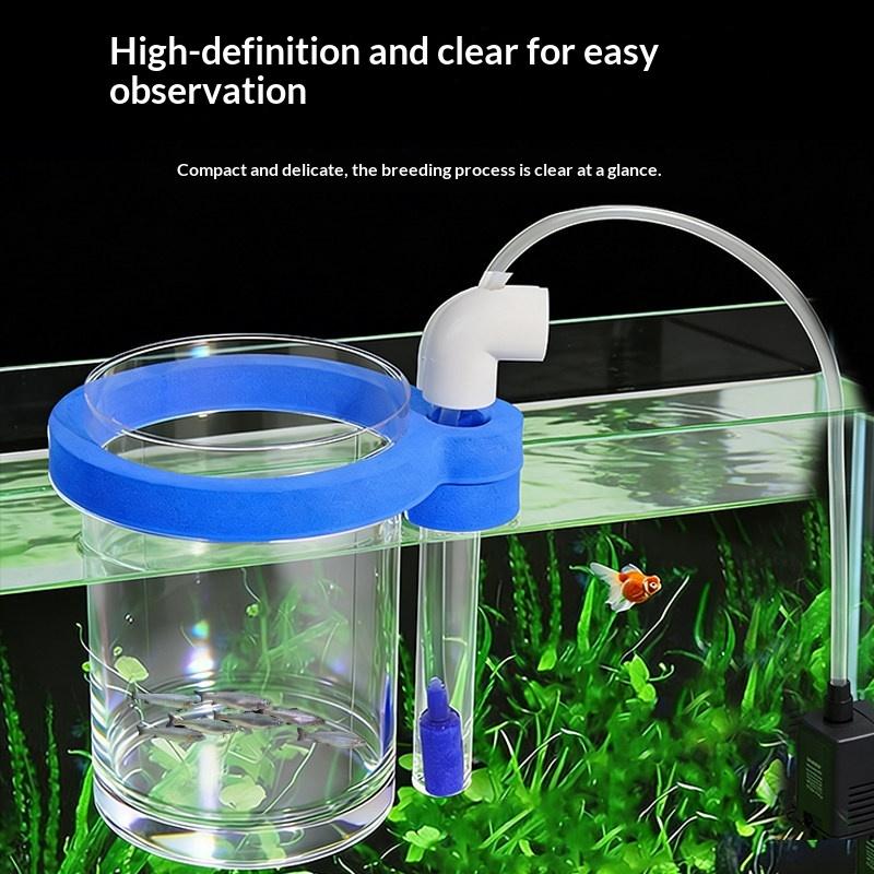 Transparent Acrylic Fish Breed - Aquarium Fish Food ulasan dan harga