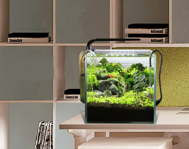 Chihiros C Series ADA Style Pl - Aquarium Fish Background ulasan dan harga