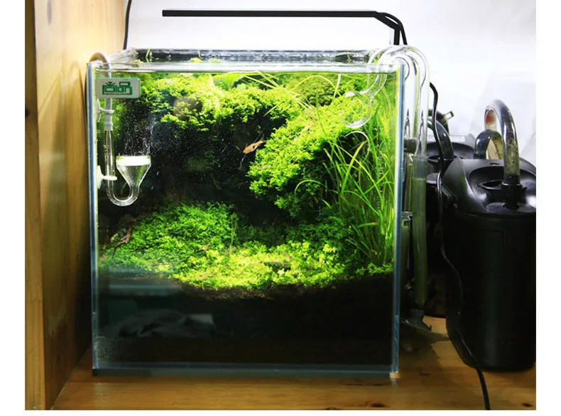 Chihiros C Series ADA Style Pl - Aquarium Fish Background ulasan dan harga