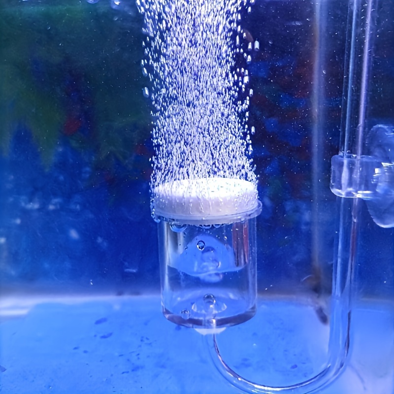 Aquarium Glass CO2 Atomizer Di - Aquarium Fish Photography ulasan dan harga