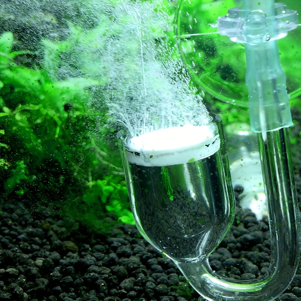 Aquarium Glass CO2 Atomizer Di - Aquarium Fish Photography ulasan dan harga