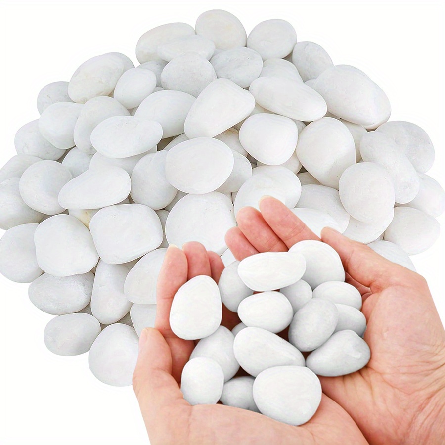 200/400g White High Polished N - Aquarium Fish Buy ulasan dan harga