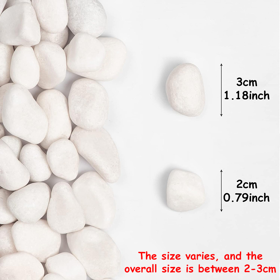 200/400g White High Polished N - Aquarium Fish Buy ulasan dan harga