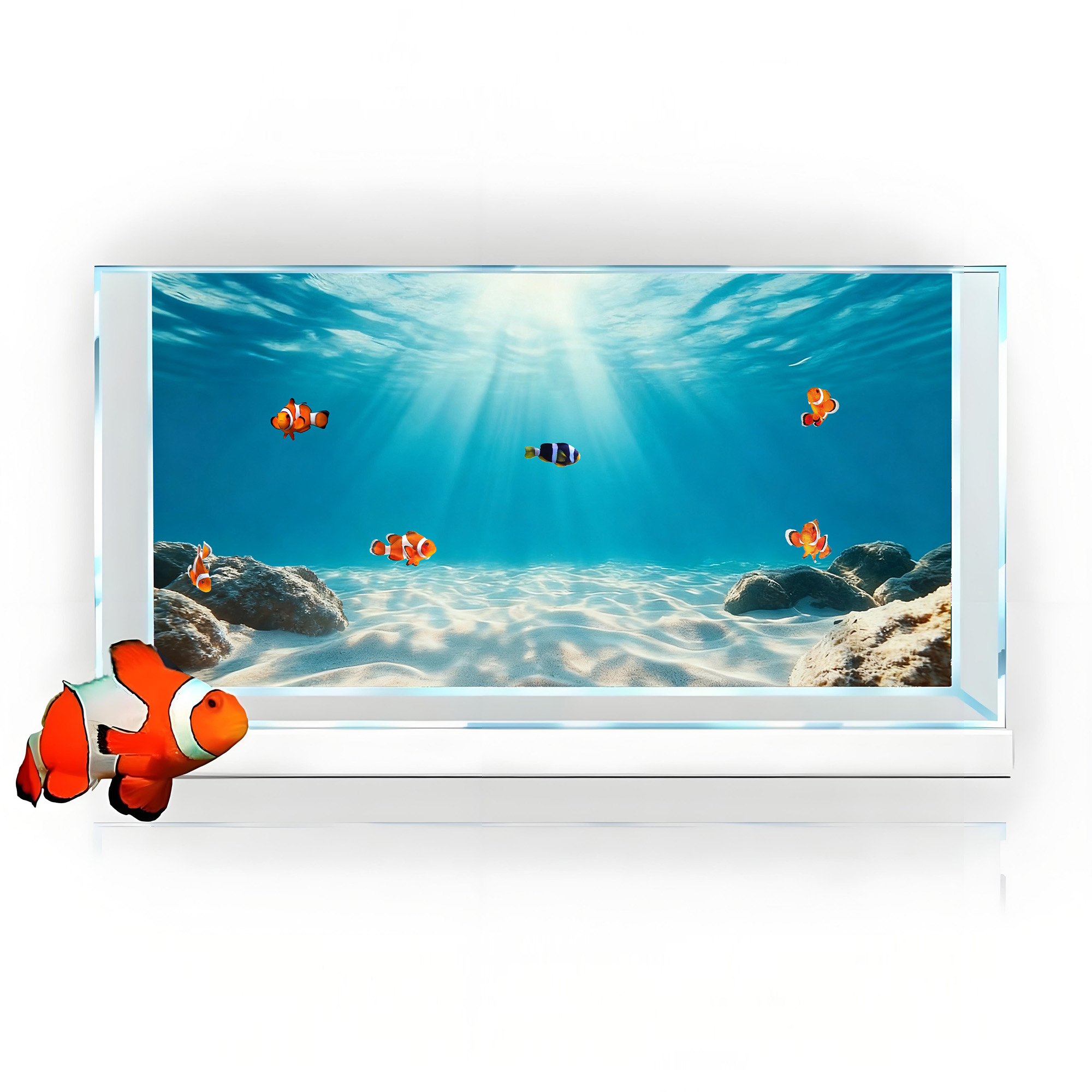 Blue Sea Clear Sand, Fish Tank - Aquarium Fish Background ulasan dan harga