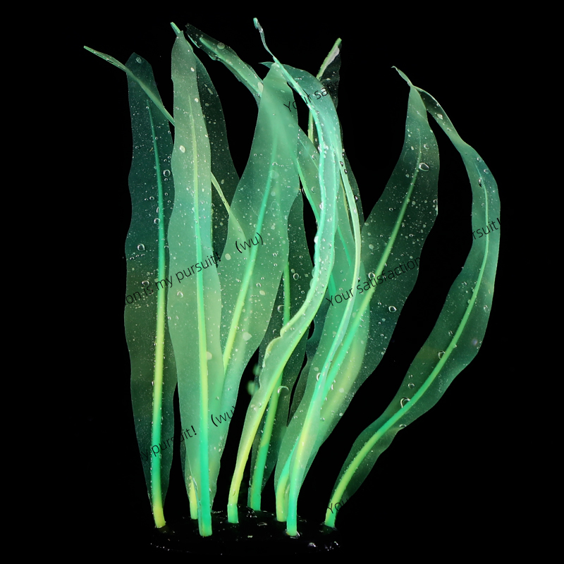 Simulated Kelp Plant Decoratio - Aquarium Fish World ulasan dan harga