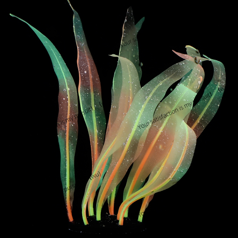 Simulated Kelp Plant Decoratio - Aquarium Fish World ulasan dan harga