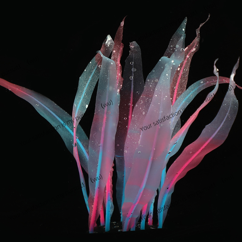Simulated Kelp Plant Decoratio - Aquarium Fish World ulasan dan harga