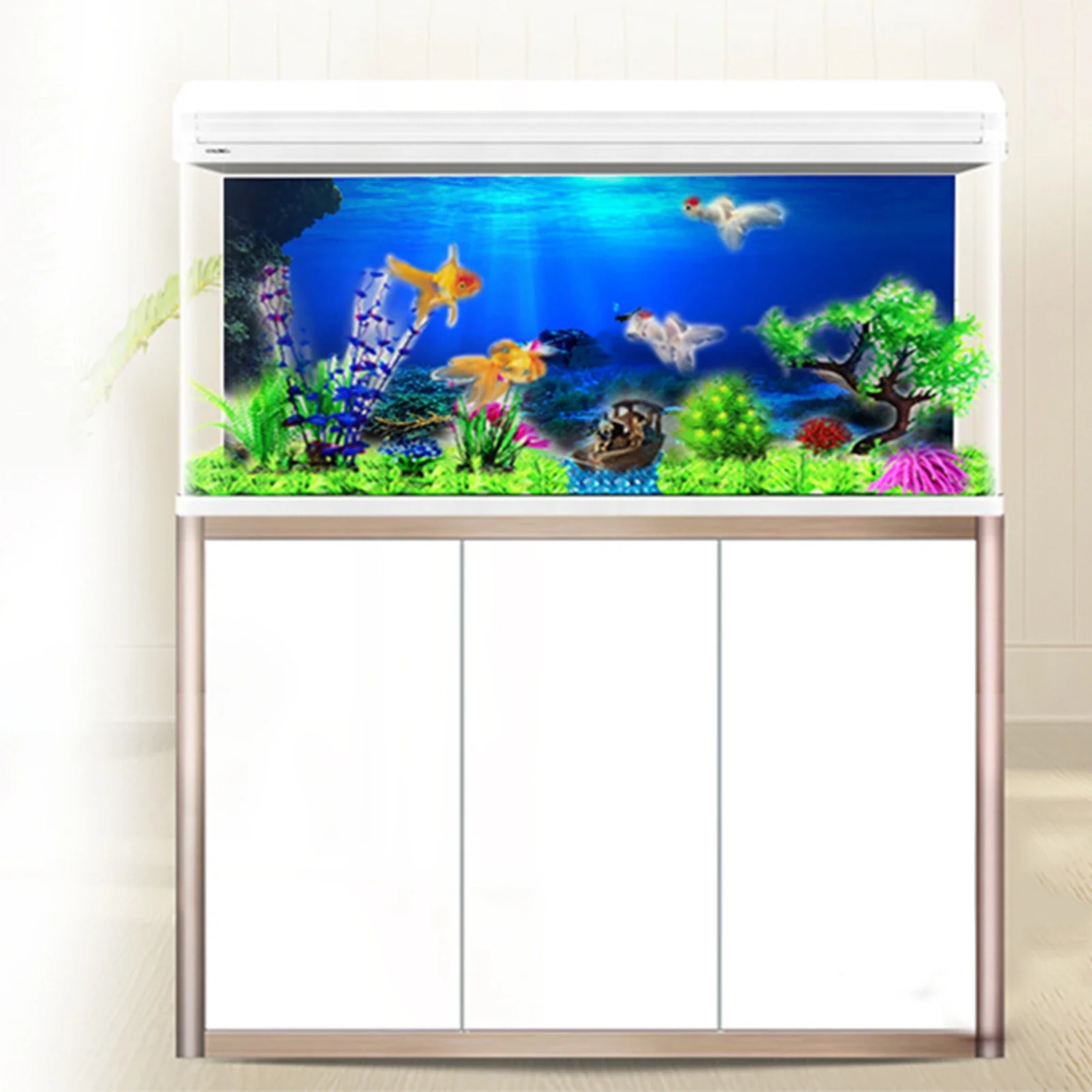 Rainforest Aquarium Background - Aquarium Fish World ulasan dan harga