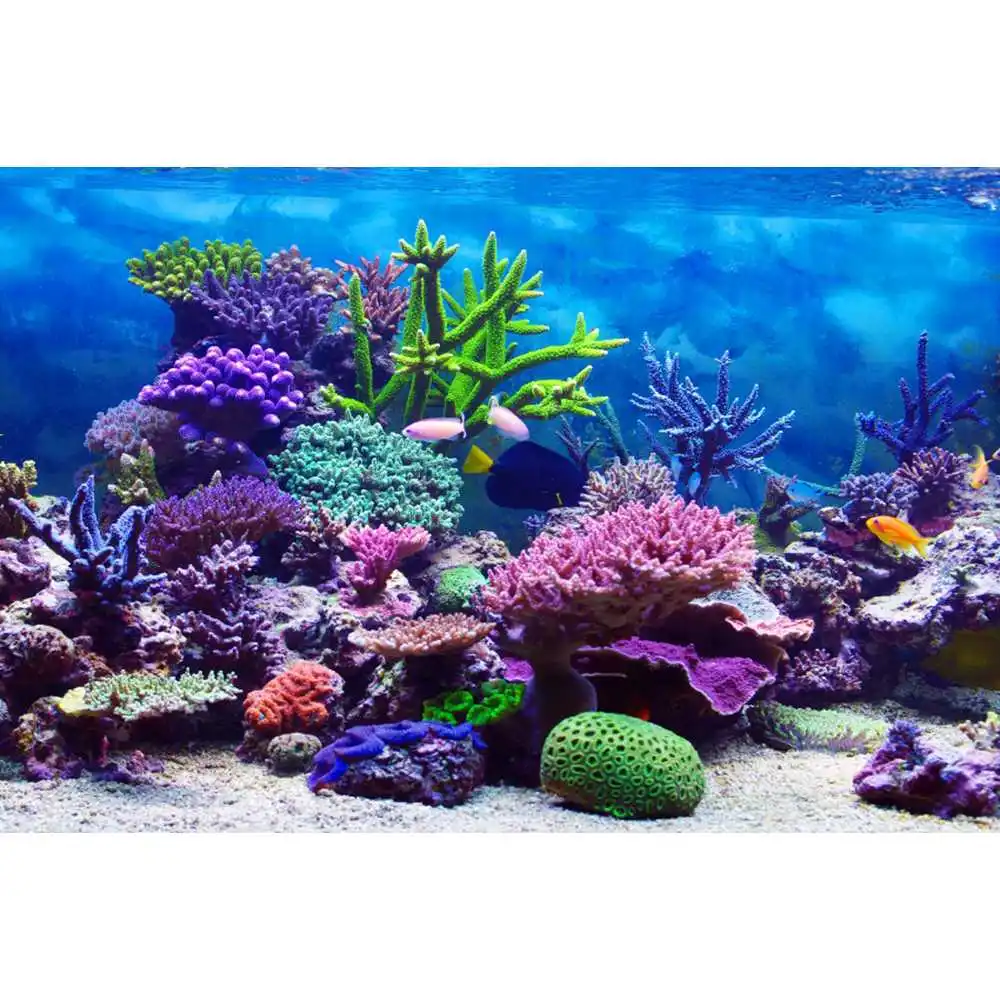 Underwater World Seabed Backdr - Aquarium Fish World ulasan dan harga