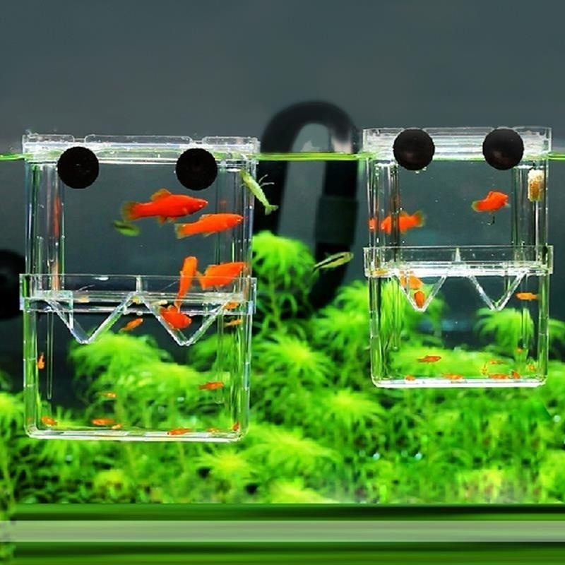Multifunctional Fish Aquarium  - Aquarium Fish Background ulasan dan harga