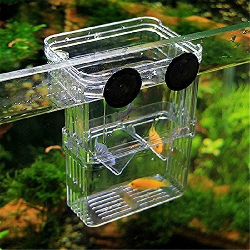 Multifunctional Fish Aquarium  - Aquarium Fish Background ulasan dan harga