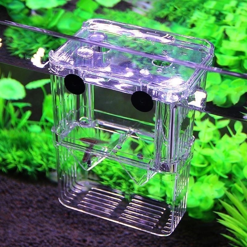 Multifunctional Fish Aquarium  - Aquarium Fish Background ulasan dan harga
