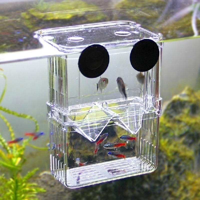 Multifunctional Fish Aquarium  - Aquarium Fish Background ulasan dan harga