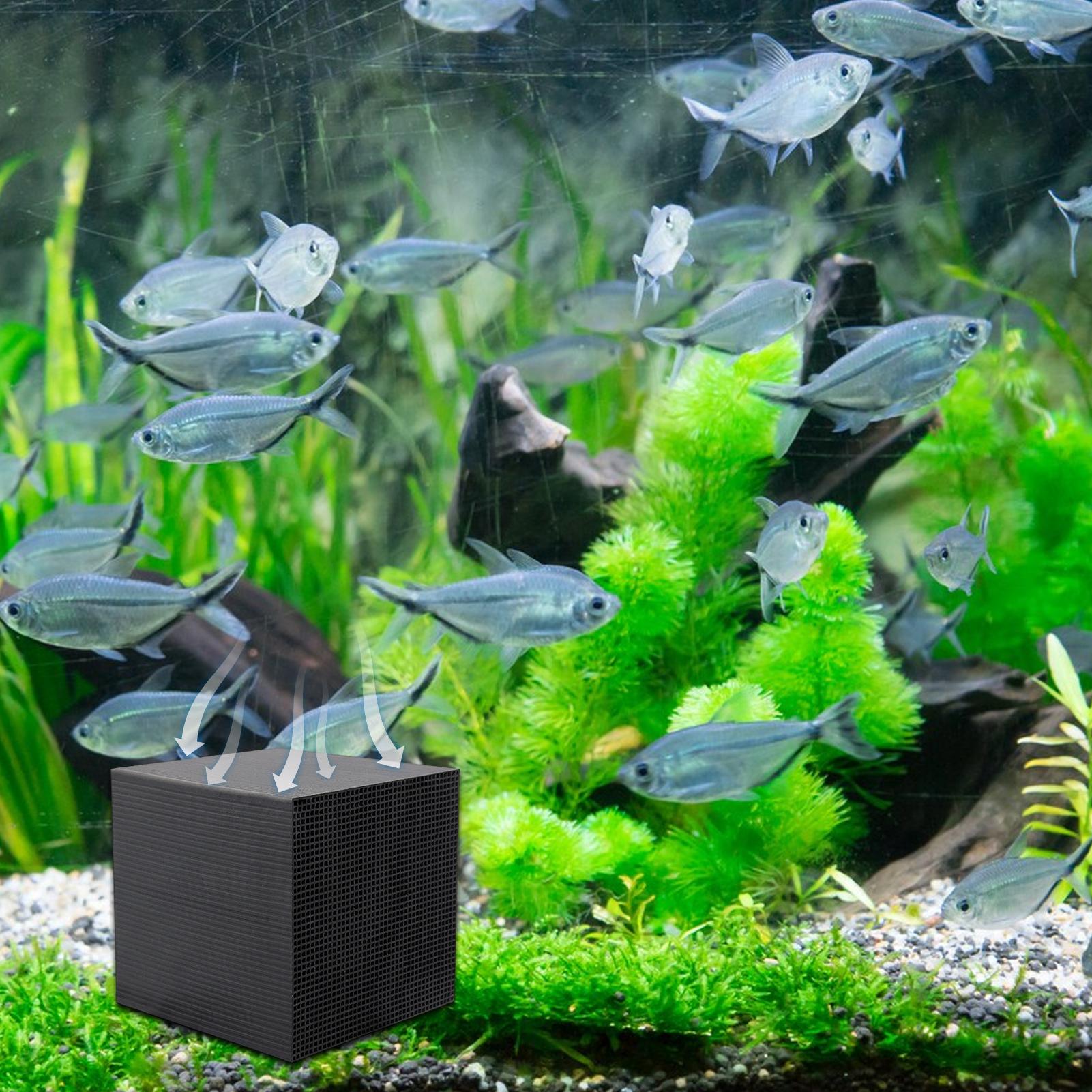 Aquarium Water Purifier Cube W - Aquarium Fish Background ulasan dan harga