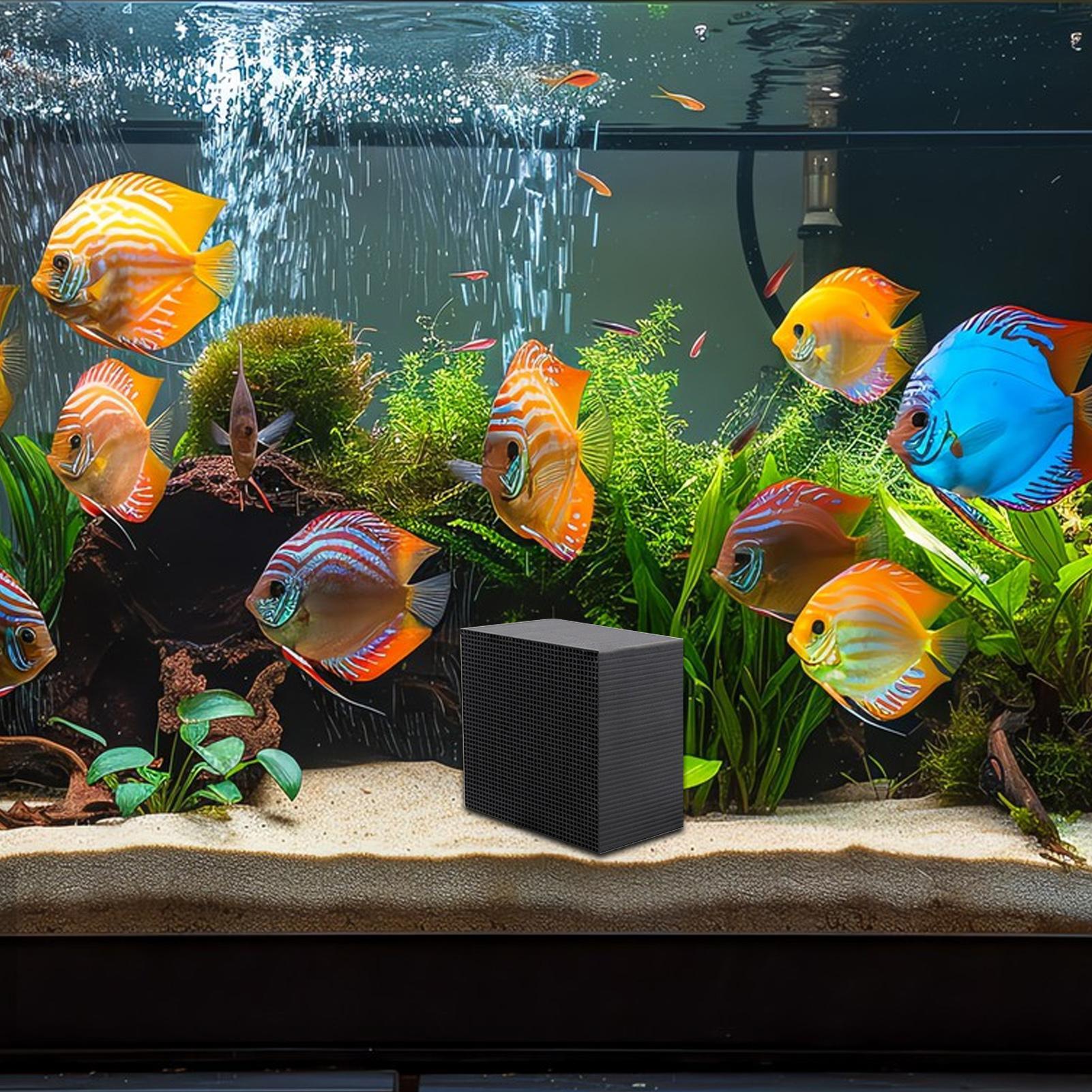 Aquarium Water Purifier Cube W - Aquarium Fish Background ulasan dan harga