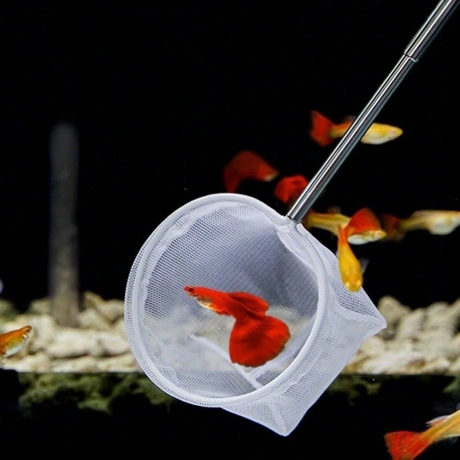 Aquarium Fish Net - a Retracta - Aquarium Fish Food ulasan dan harga