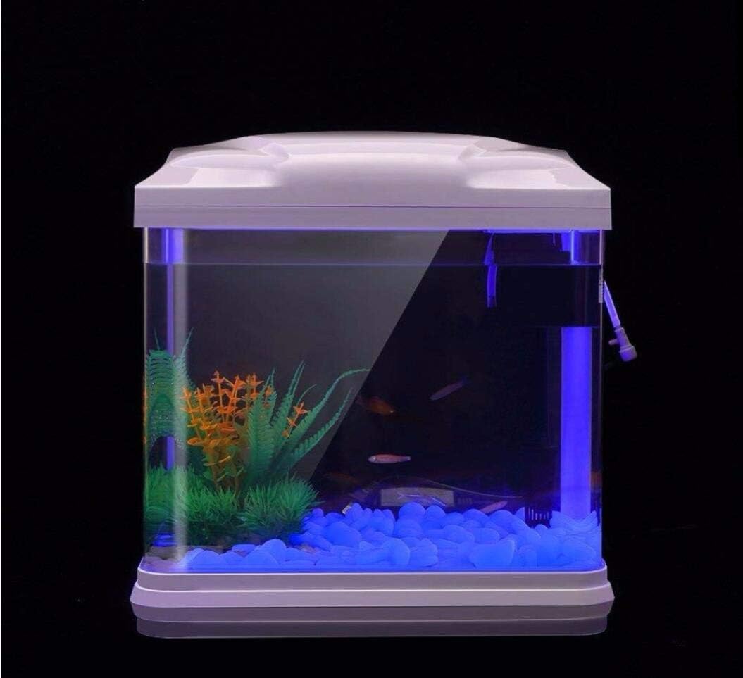 Fish Tank Rocks Glow Blue Pebb - Aquarium Fish Buy ulasan dan harga