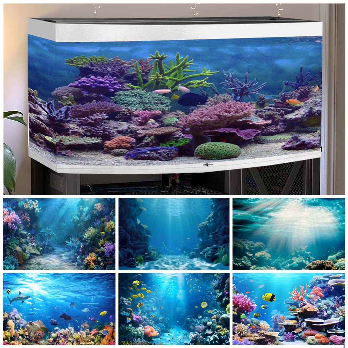 Underwater World Backgrounds f - Aquarium Fish World ulasan dan harga