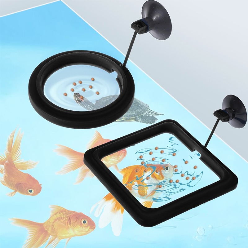 Aquarium Fish Tank Feeding Rin - Aquarium Fish Food ulasan dan harga