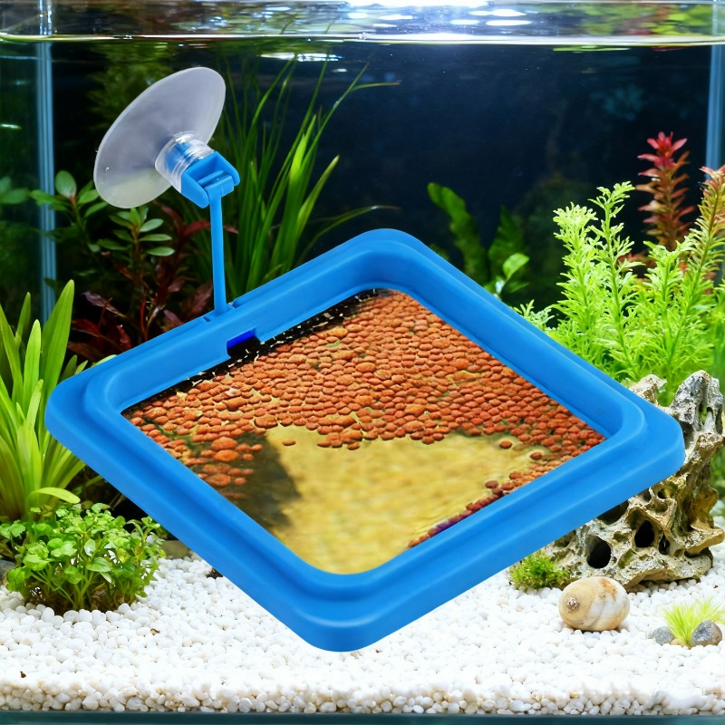 Aquarium Fish Tank Feeding Rin - Aquarium Fish Food ulasan dan harga