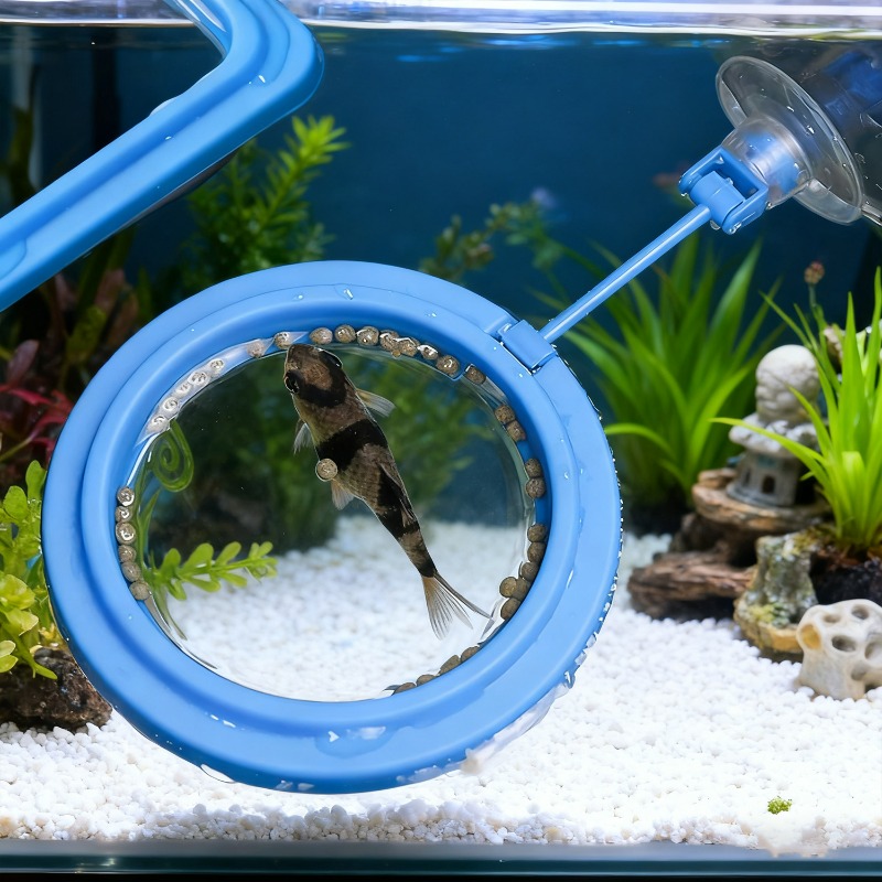 Aquarium Fish Tank Feeding Rin - Aquarium Fish Food ulasan dan harga