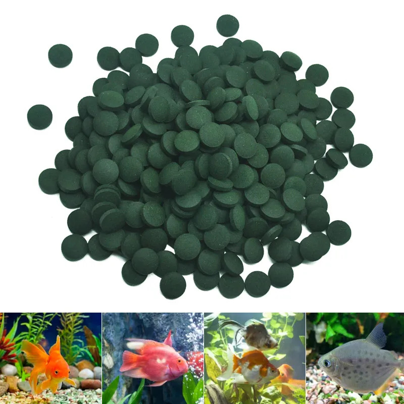 50-300Pcs High Purity Spirulin - Aquarium Fish Food ulasan dan harga
