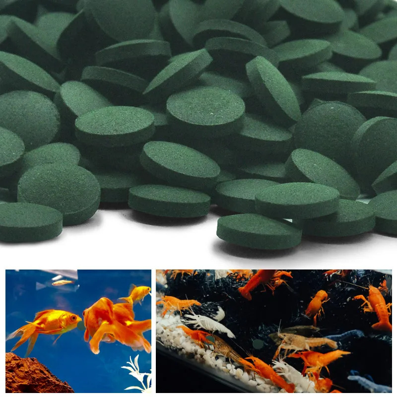 50-300Pcs High Purity Spirulin - Aquarium Fish Food ulasan dan harga