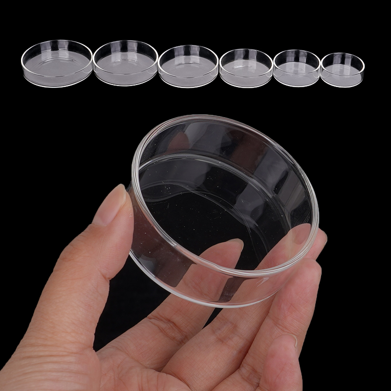 Shrimp Feeding Dish High Trans - Aquarium Fish Food ulasan dan harga