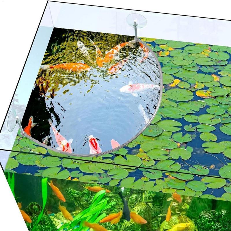 Floating Plant Corral Fish Fee - Aquarium Fish Food ulasan dan harga