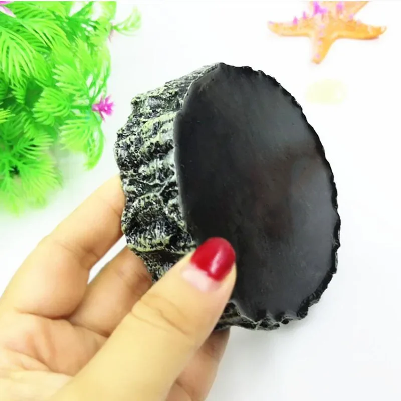 Pet Reptile Feeder Bowl Resin  - Aquarium Fish Food ulasan dan harga
