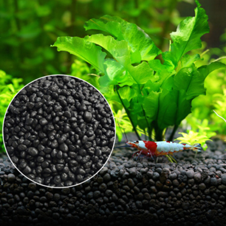 Aquarium Plant Seeds Soil Fish - Aquarium Fish Buy ulasan dan harga