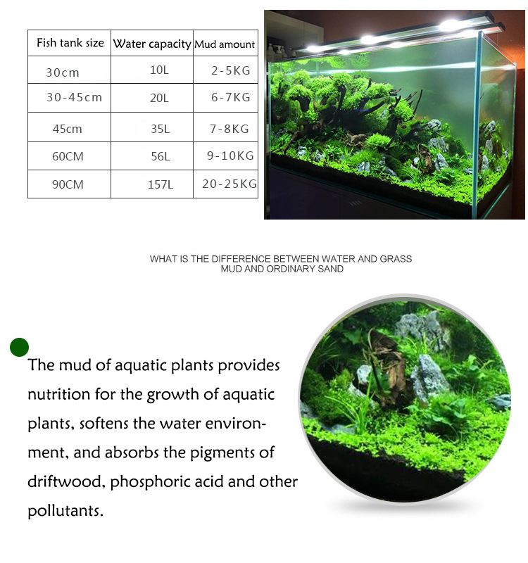 Aquarium Plant Seeds Soil Fish - Aquarium Fish Buy ulasan dan harga