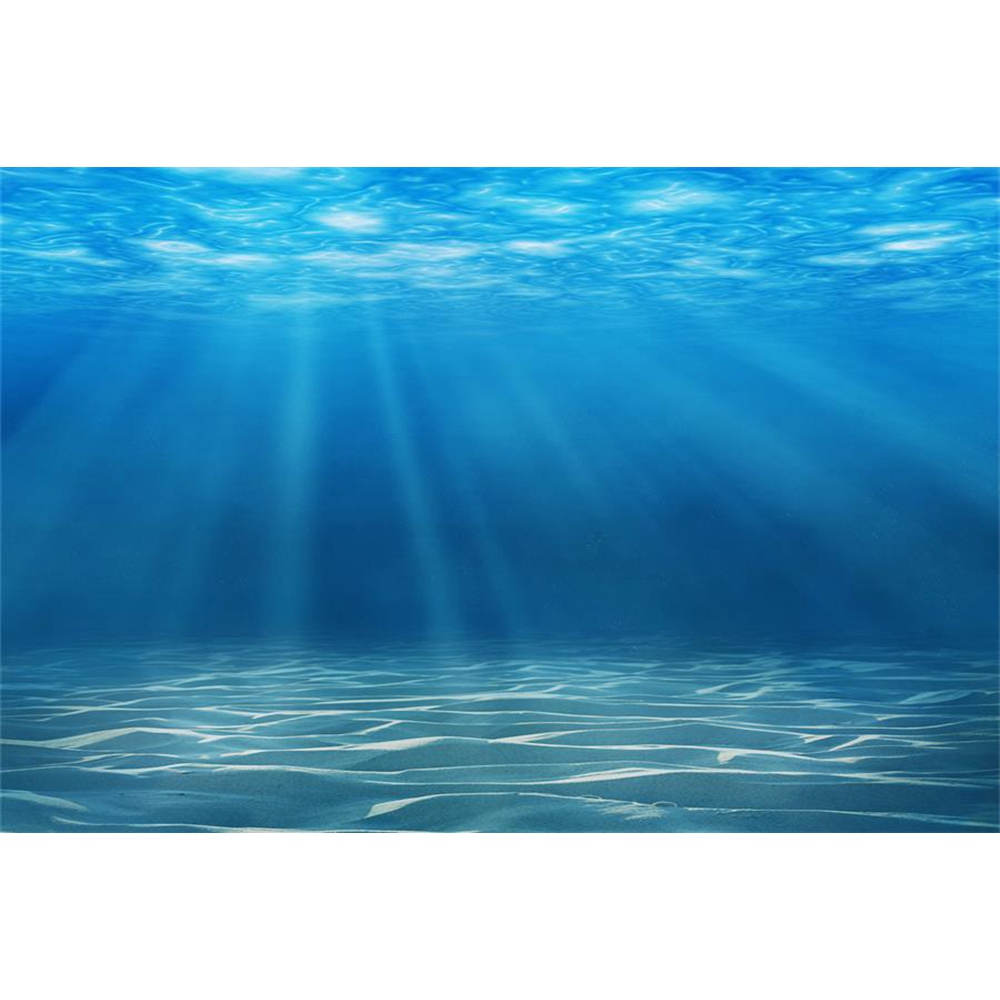 Underwater World Seabed Photog - Aquarium Fish World ulasan dan harga